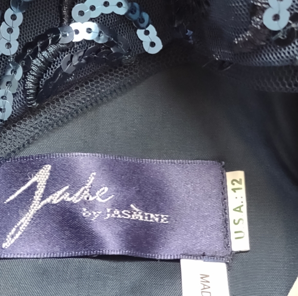 Jade by Jasmine Bejeweled Sequins Tiffany chiffon cap sleeves Sparkle Shine Maxi - Picture 10 of 11